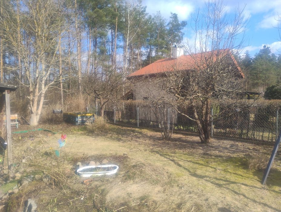 Działka ROD Miodówko