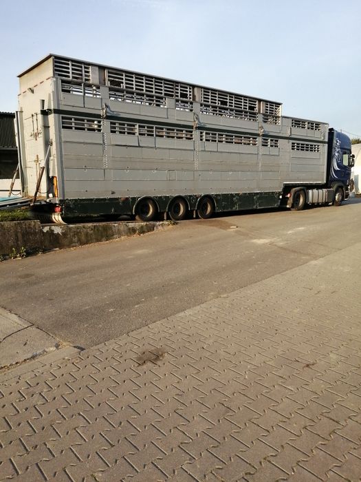 Naczepa Pezzaioli + SCANIA R450      do bydła, żywca, zwierzat