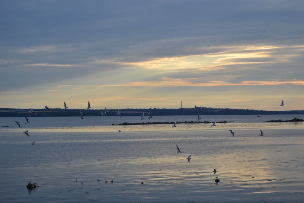 Фотоапарат Nikon d 3100