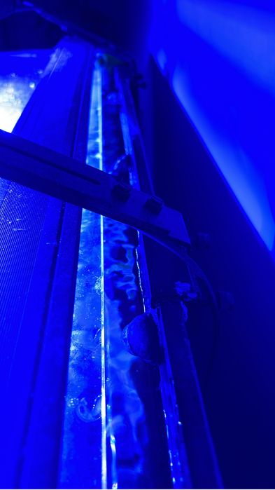 Aquario marinho completo