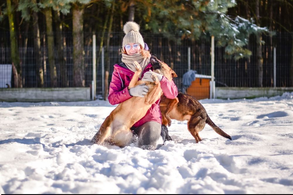 Ziomuś kochany psiak do adopcji