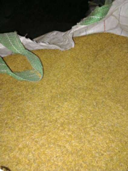 Sprzedam owies Poker