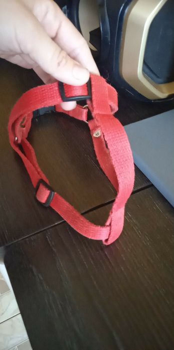 Szekli dla yojka do malutkiego  pieska lub kotka itp