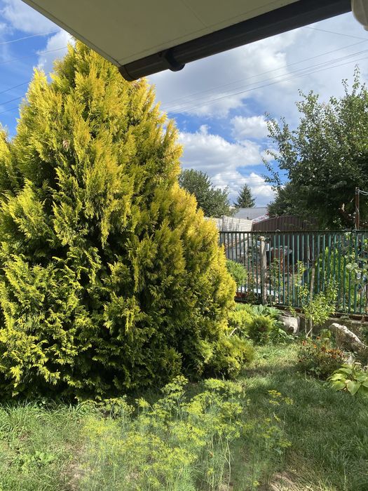 Продаж будиночку на Правому березі