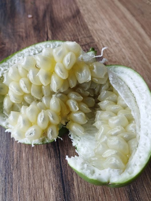 Маракуя  азимина гумі ірга