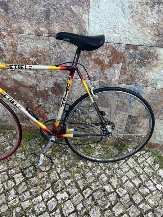 Bicicleta etiel