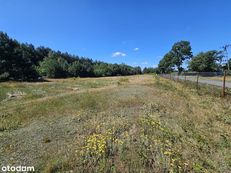 Działka budowlana 3003 m² – Brogi, gm. Dobroń