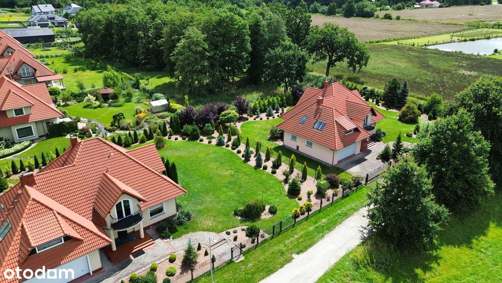 Zdjęcie 6