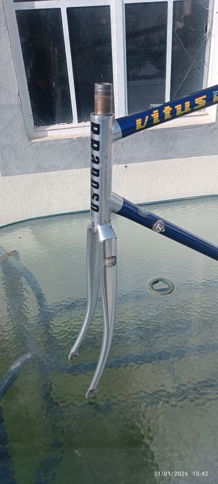 Quadro vitus  tamanho 58