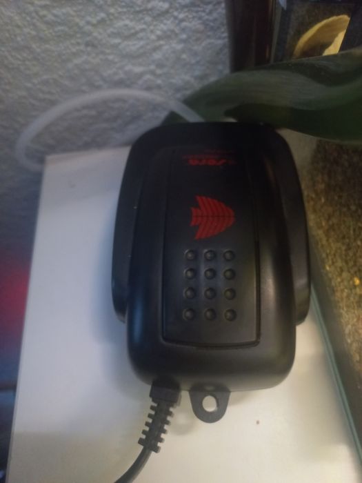 Sprzedam akwarium z rybkami 180l