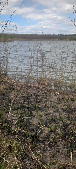 Оренди земельної ділянки водного фонду площею 10,2833 га, Тернопільська обл. - Vista 4