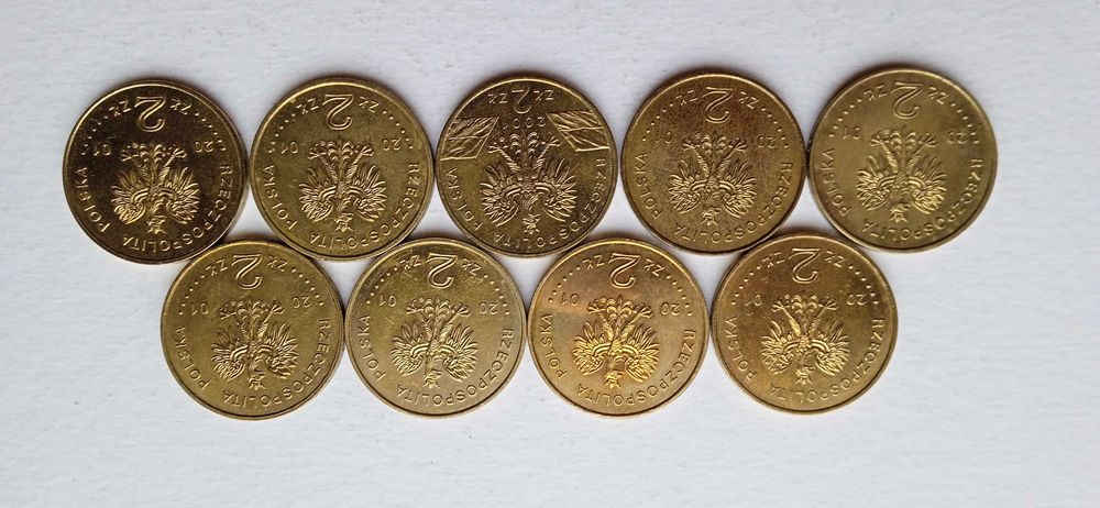 Monety 2zł. pełny rocznik 2001 sztuk9.