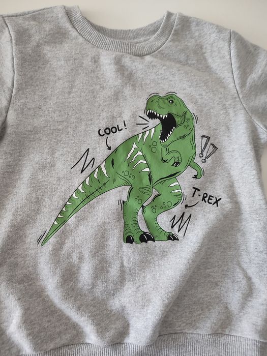 Bluza szara z dinozaurem. Szary sweter dla chłopca.