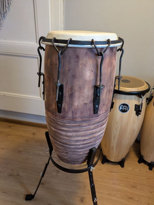 Conga 13 "x 65 cm wys.