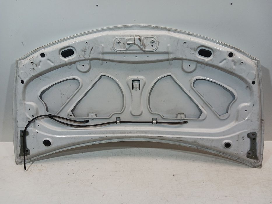 Capot RENAULT Clio III (BR0/1, CR0/1)