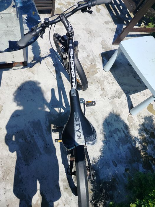 Rower Bulls Sharptail