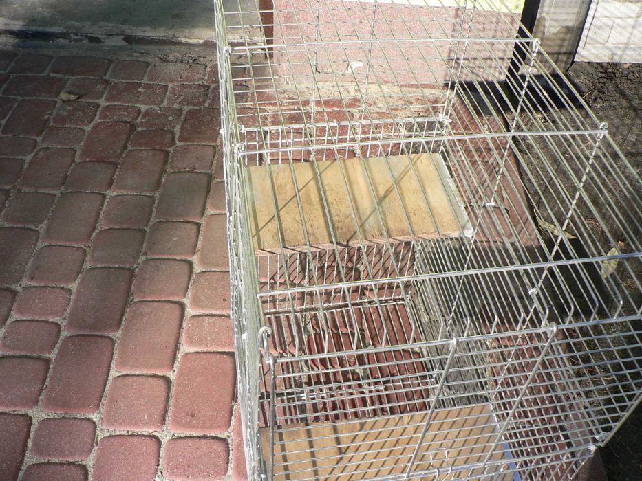 Klatka dla królika , szynszyla .