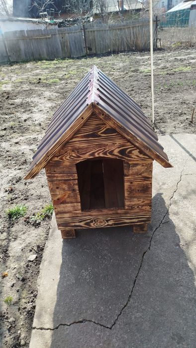 Буда для собачки