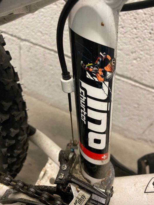 Scott scale NINO SHURTER