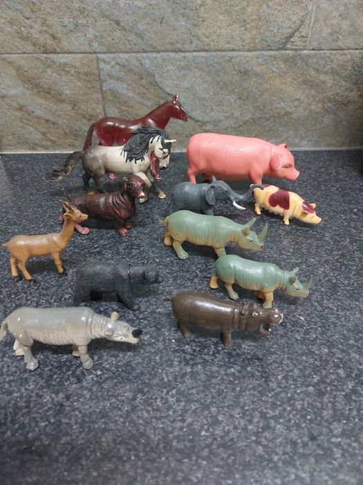 Animais vida selvagem