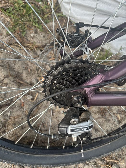 Rower typu dirt kellys whip 10