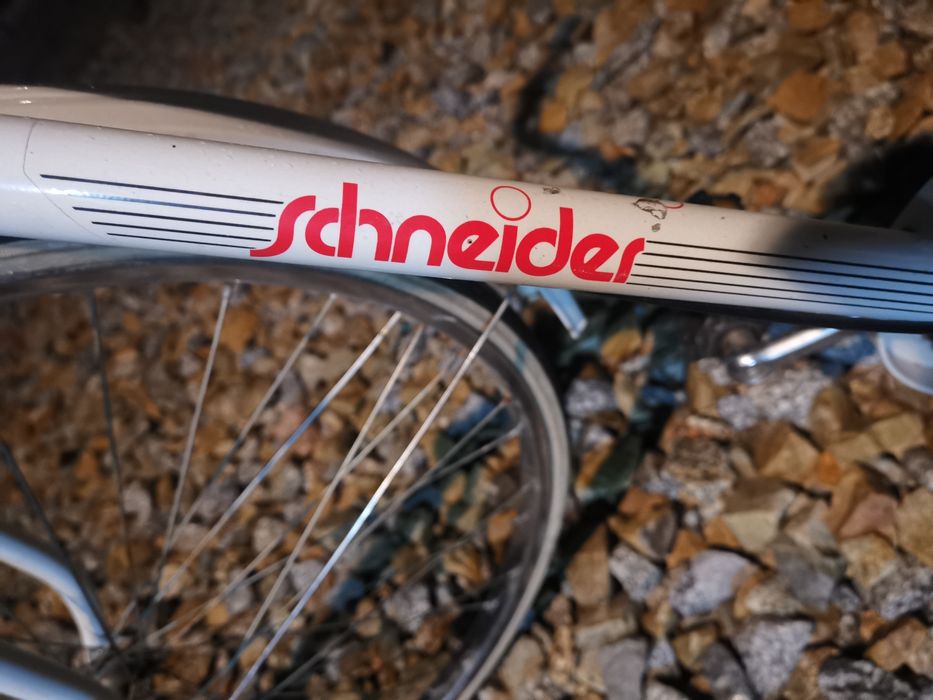 Sorzedam rower marki Schneider