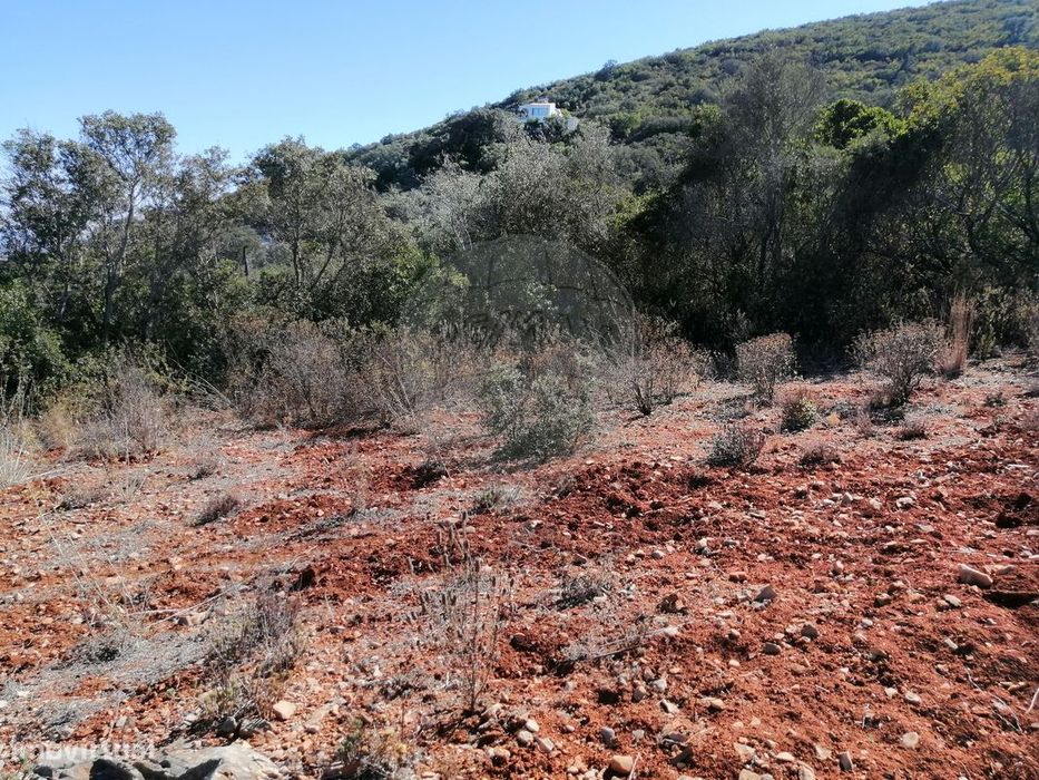 Terreno  para venda