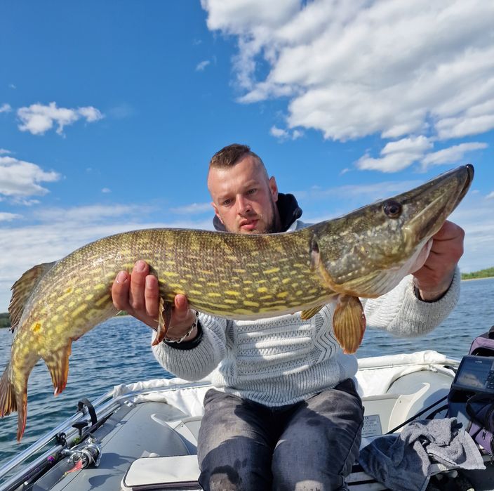 Ponton Maverick 420 z przyczepą plus silnik spalina