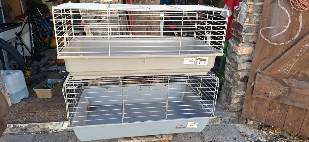 Dwie kladki dla gryzoni