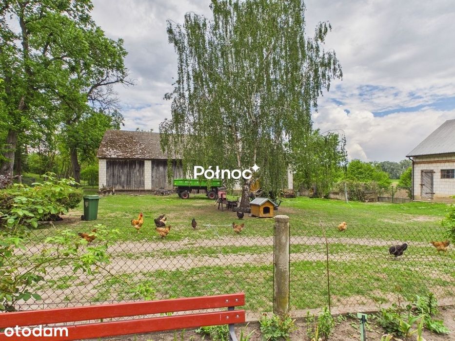 Siedlisko 15ha linia brzegowa Wisły, 65 km od WAW