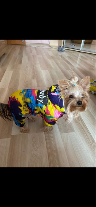 Комбінезон для собак