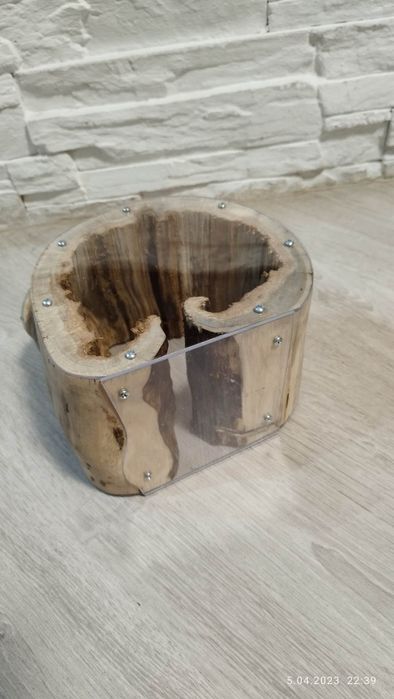 Formikularium dla mrówek