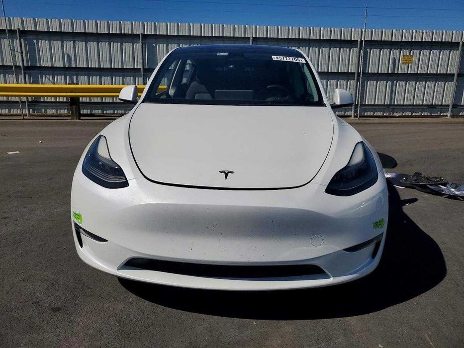 2023 Tesla  Model  Y
