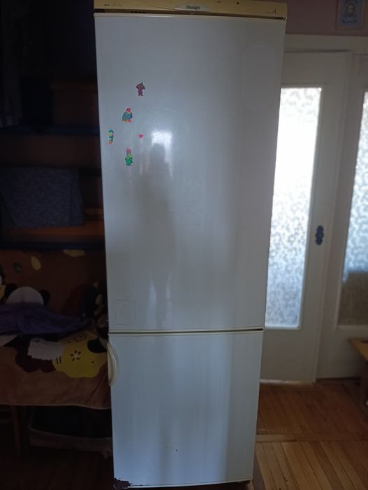 Холодильник Snaige