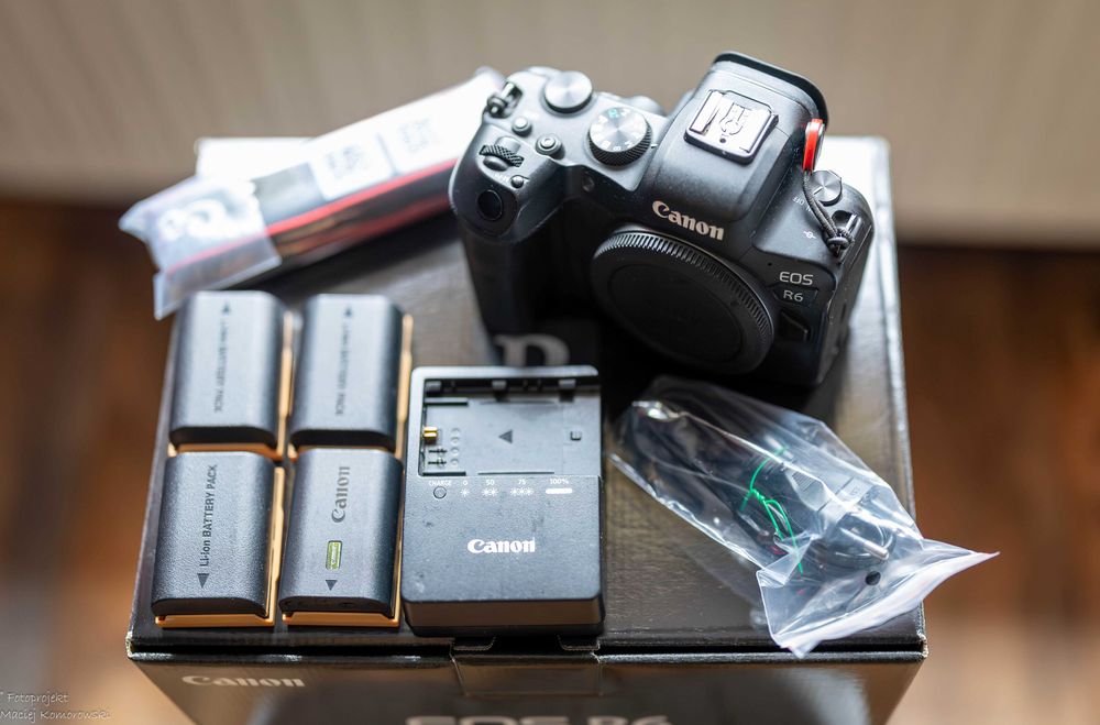 Aparat bezlusterkowiec Canon EOS R6 FV23%