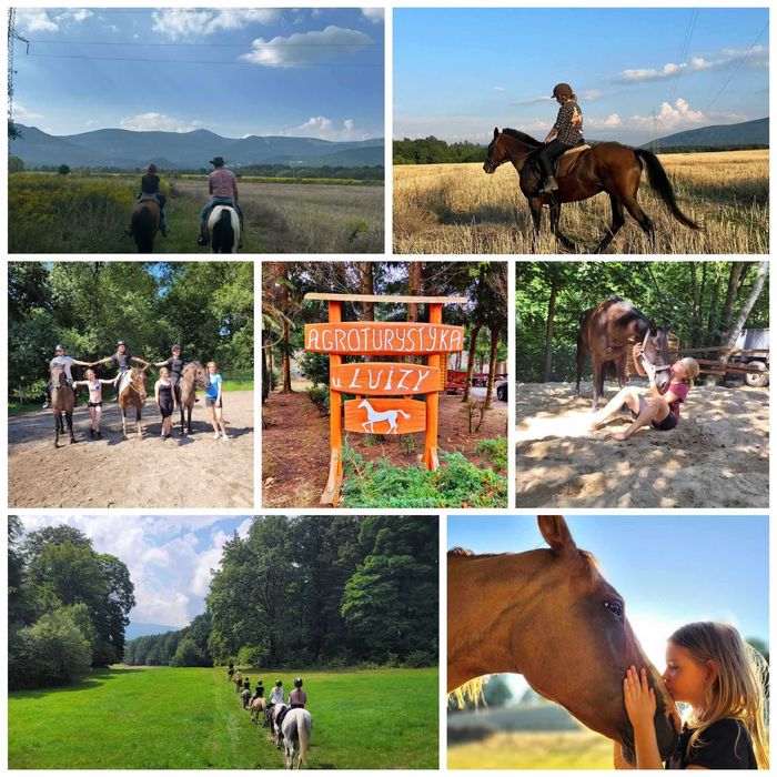 Domek 4 osobowy w Karpaczu/wakacje/panieńskie itp.