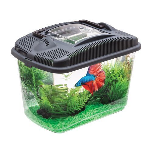 Akwarium Betta Kit Dla Bojownika 3l Kompletny Zestaw Do Hodowli Rybki Pływającej Zoojoy