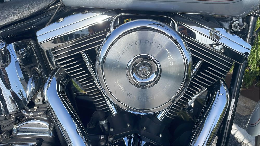 Harley springer 99