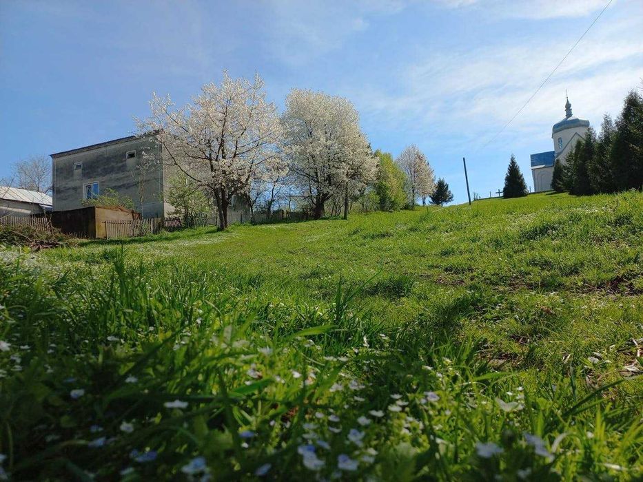 Приватизований будинок с. Вишнів Рогатинський р-н, центр