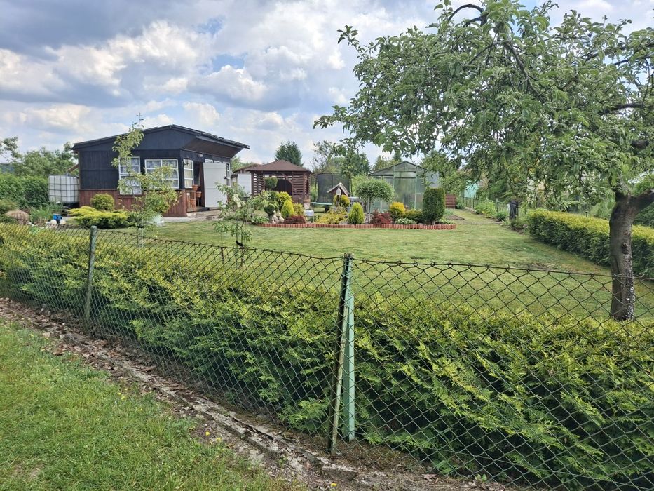 Ogród działkowy ROD Koszalin