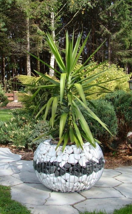 Декоративний габіон, вазон