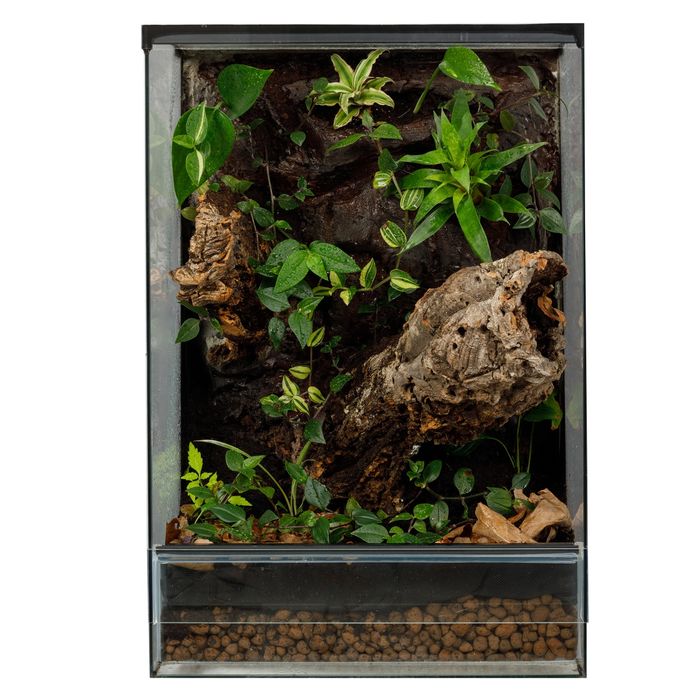 Terrarium tropikalne 40x40x60 paludarium gekon