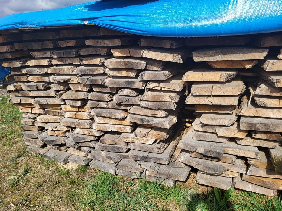 Brusy Dębowe 4-letnie