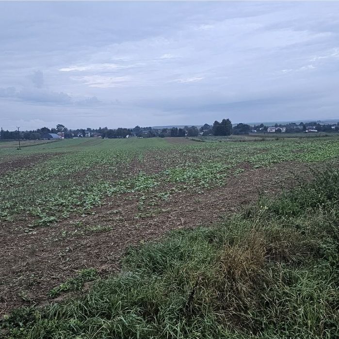Działki budowlane ul. Lubelska