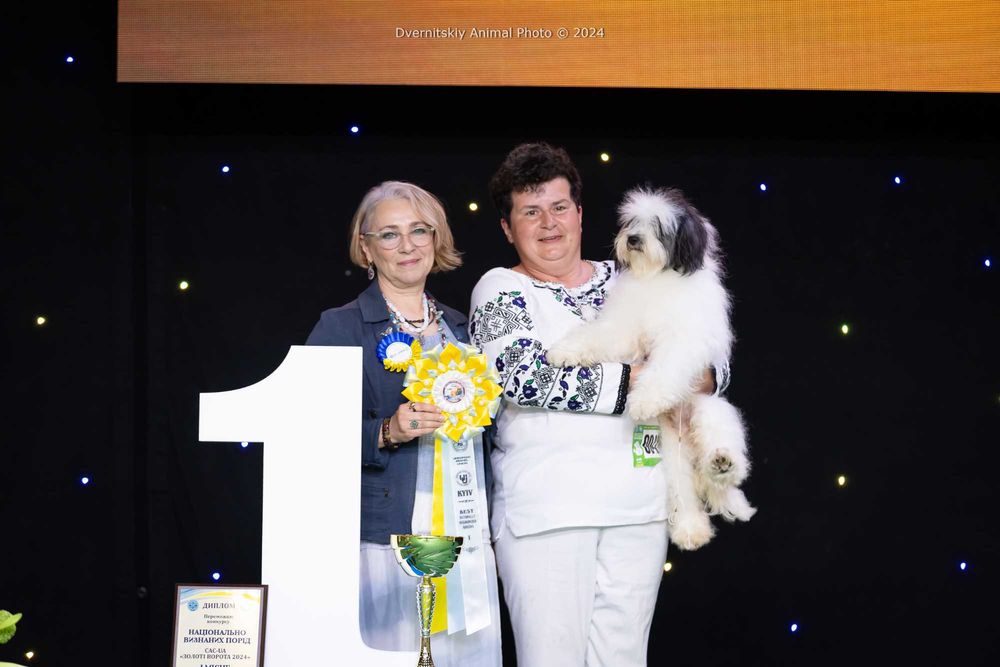 Український одіс Цуценята від Чемпіонів та Топ-собак. НЕ КСУ