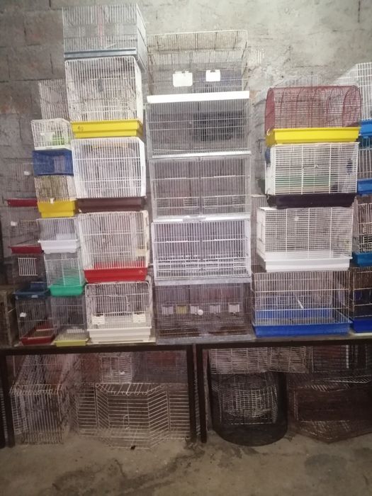 Gaiolas usadas BARATAS