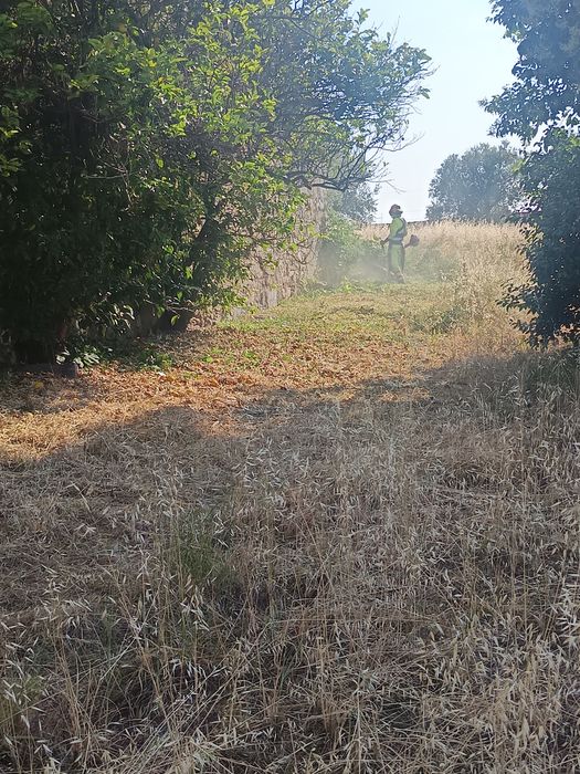 Corte de erva em quintas