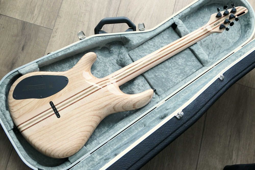 Mayones Regius 6 Galaxy Eye Black Gloss, Pale Moon Ebony Fretboard + Hiscox Case