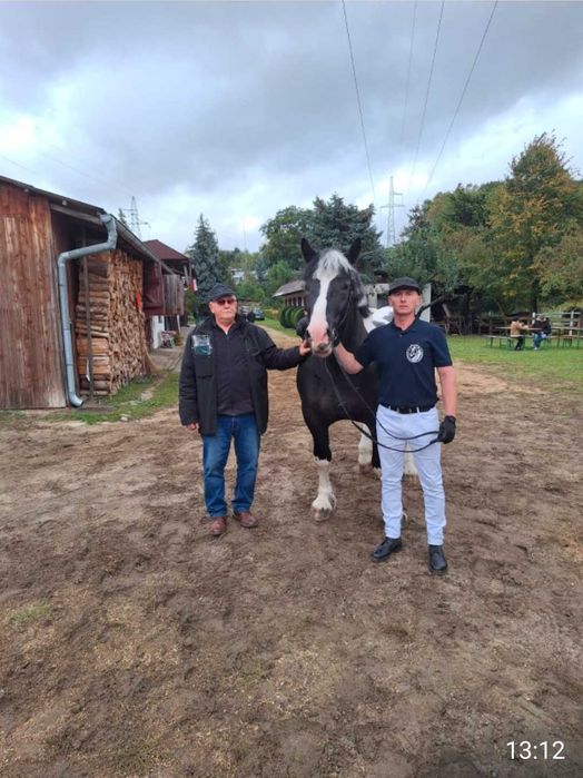 Stanówka ogierem srokatym