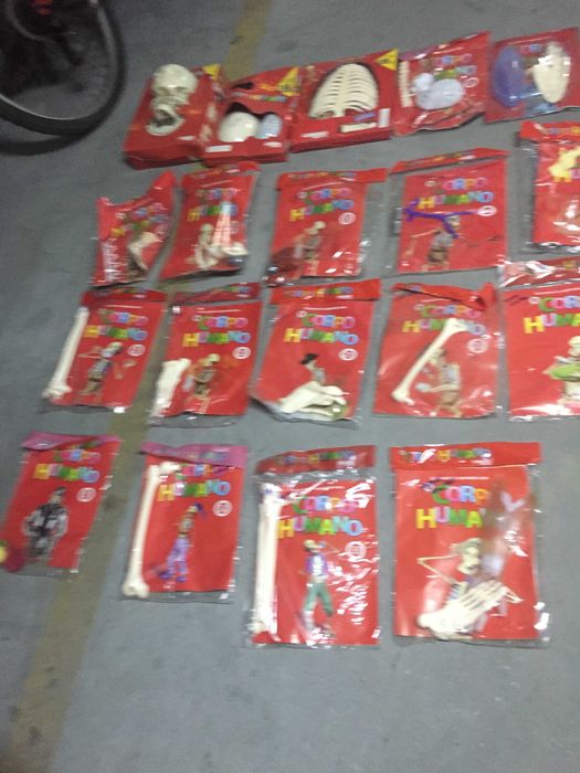 34 peças de um esqueleto